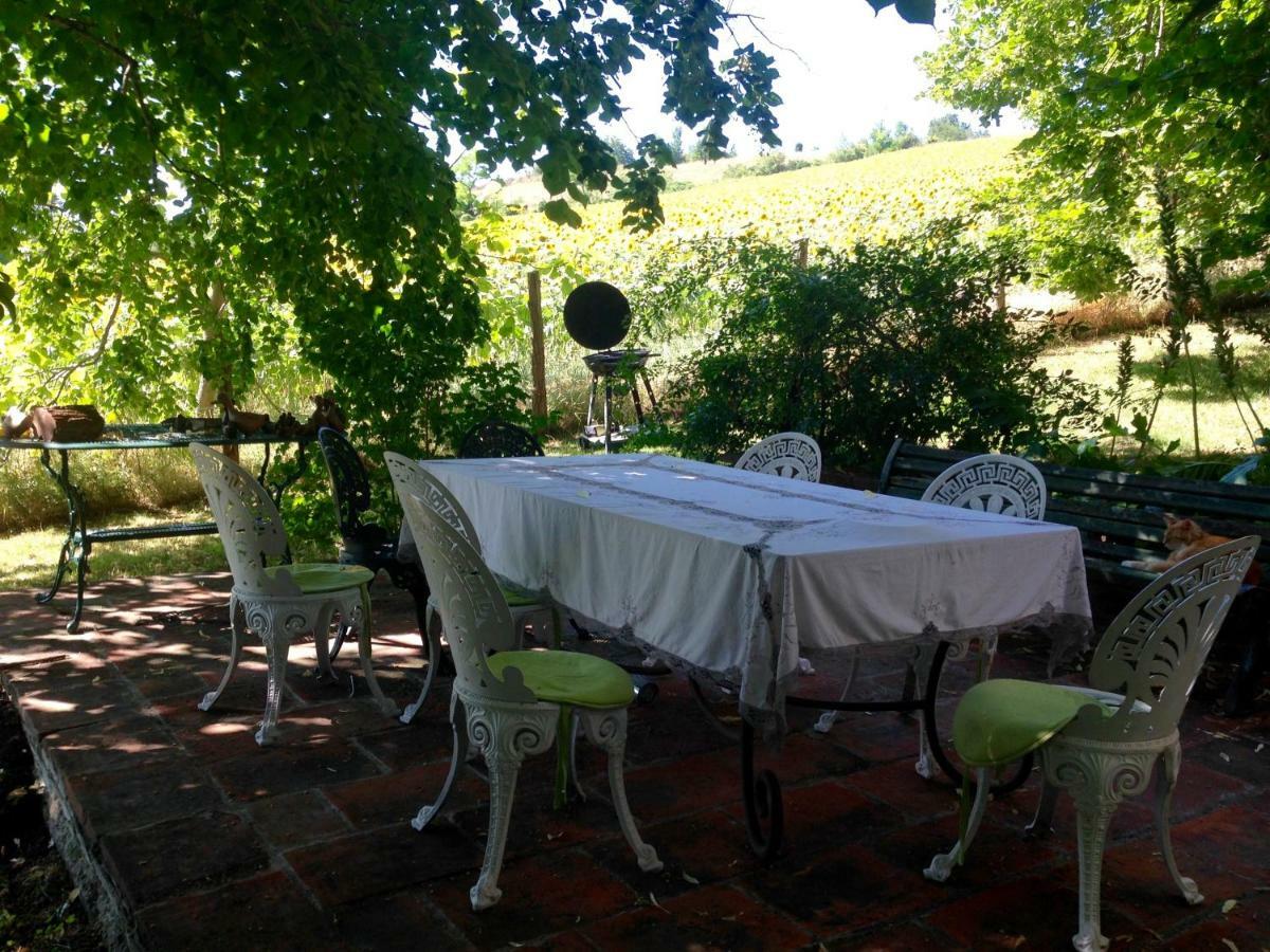 Domaine Du Faget Panzió Montauban Kültér fotó